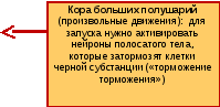 Группа 52