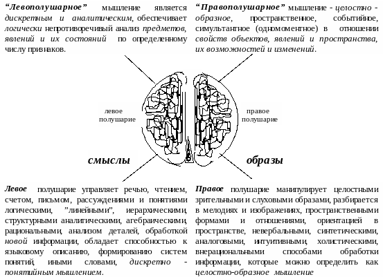 4.6.2. Образы и смыслы – правое и левое полушария мозга