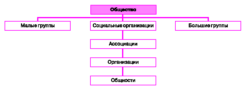 Социально групповая структура. Социальная общность и социальная группа.