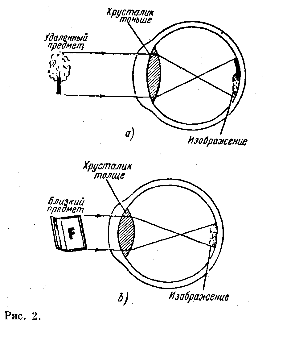 Рисунок аккомодация глаза