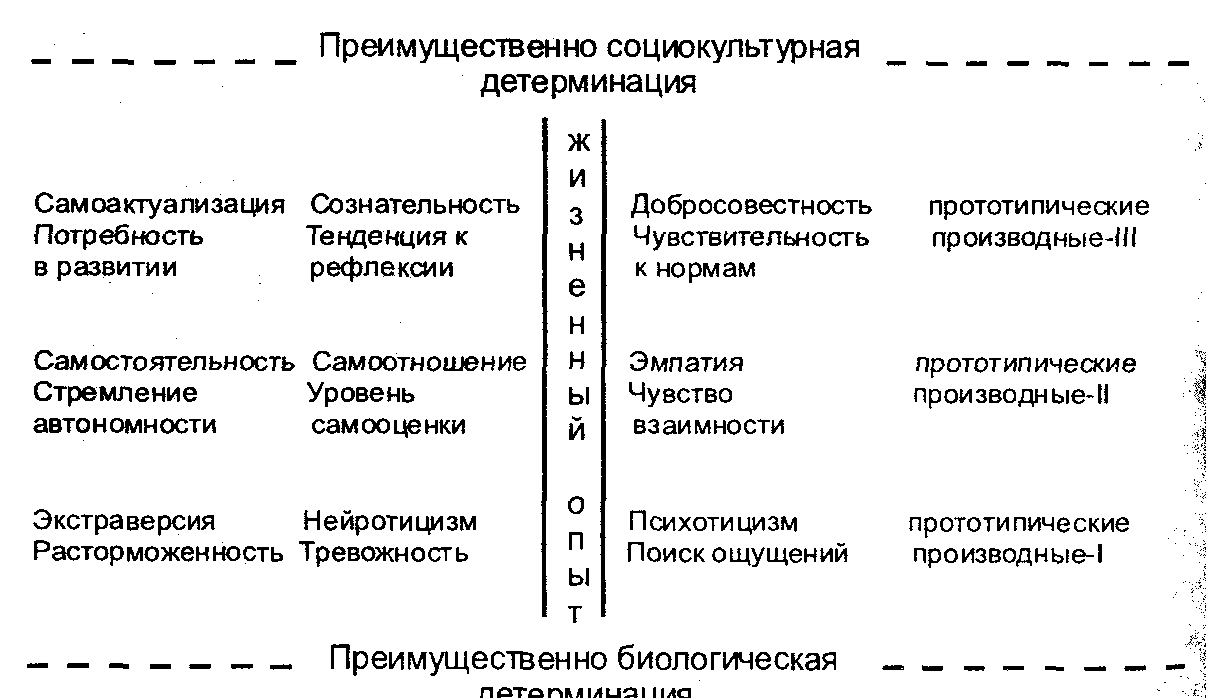 Уровни развития организации личности. Формально-динамическая модель личности. Формально-динамическая модель а. в. Либина. Динамическая организация личности. Модель личности большая пятерка.