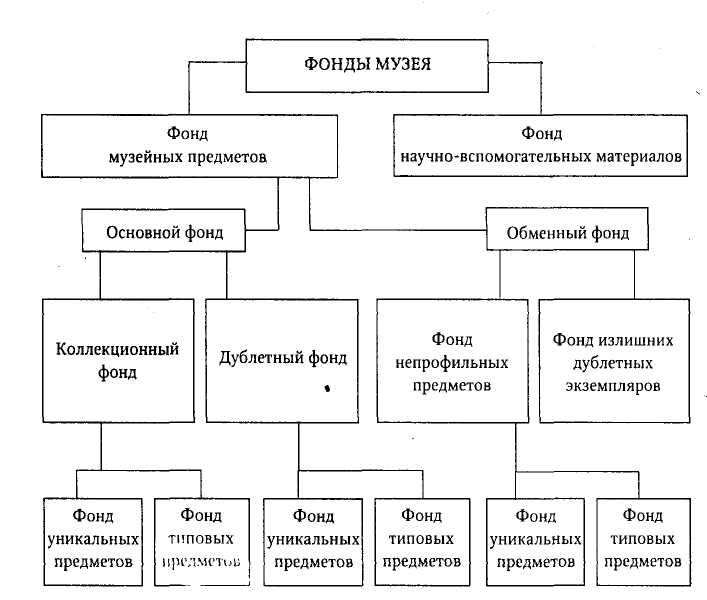 Структура музея схема