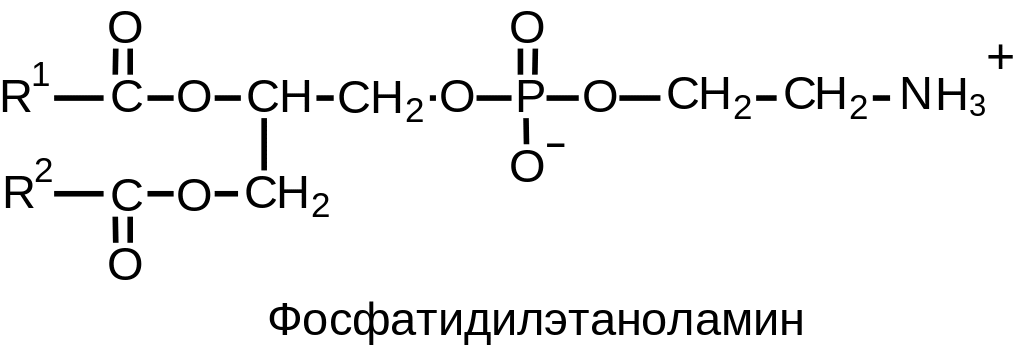 Кефалин. Фосфатидил глицерин. Фосфатидилэтаноламин. Фосфатидилэтаноламин строение. Фосфатидилэтаноламин структурная формула.