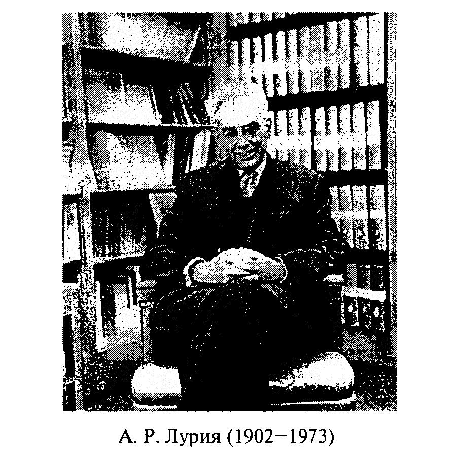 Лекция 2. Структурно-функциональная организация мозга и психики в свете ...
