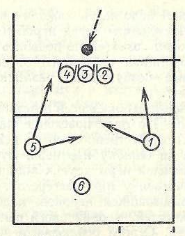 Схема 5 1 в волейболе