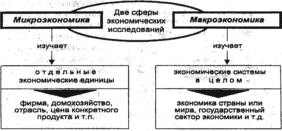 Экономика: наука и хозяйство - презентация онлайн