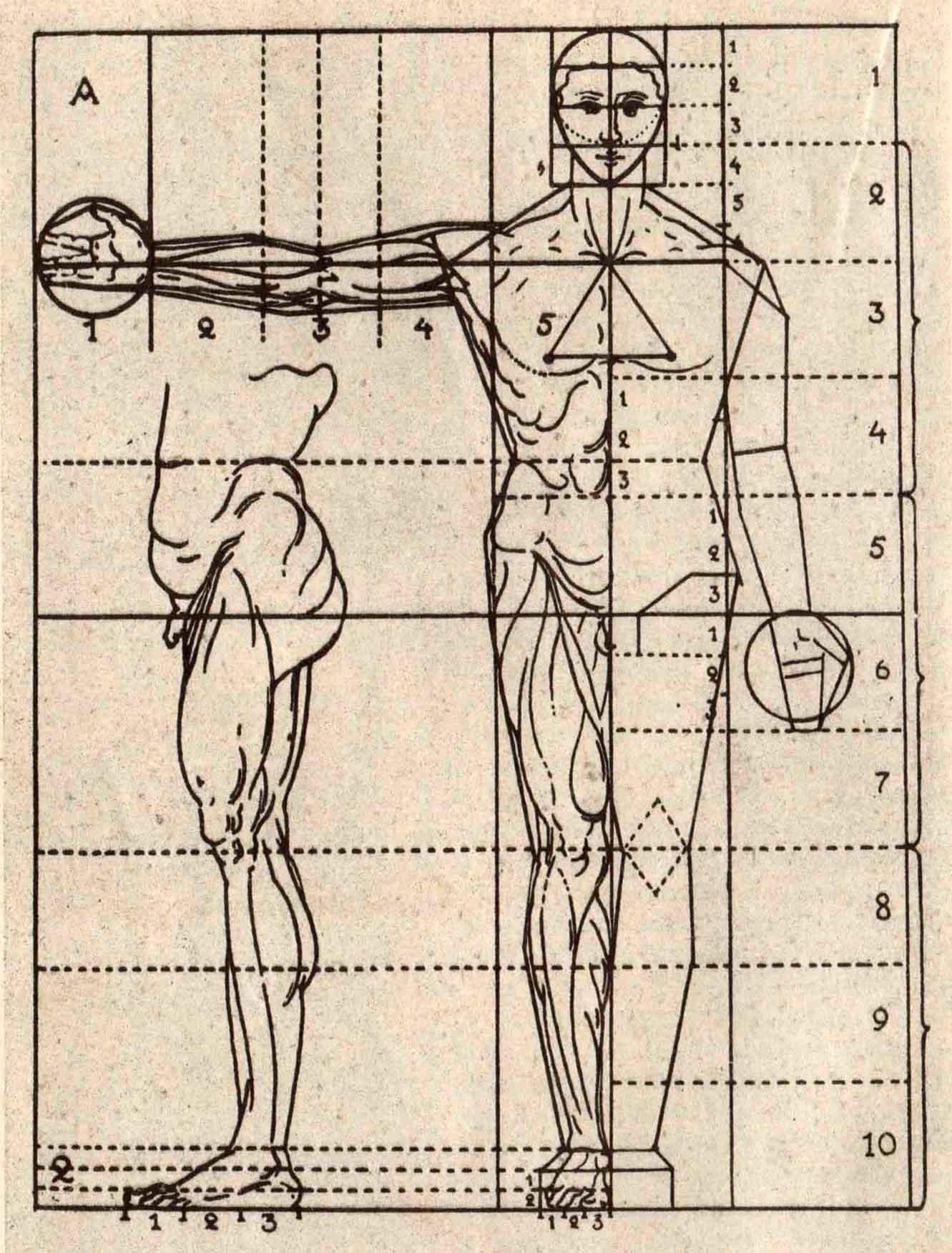 Рисунок изображение фигуры. Дж. П. Ломаццо. Пропорции фигуры человека. Пропорции фигуры Леонардо. Пропорции тела человека анатомия теория. Пропорции фигуры человека эпохи Возрождения.