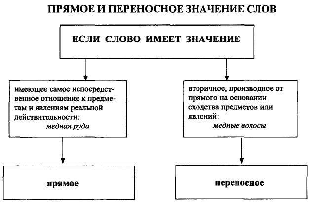 Переносное значение слова в русском языке, как его понимать и почему. Что такое трансфер?