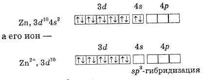 Zn схема. Электронная конфигурация Иона цинка 2+. Электронные формулы ионов zn2+. Электронная формула Иона цинка 2+. Электронная конфигурация цинка +2.