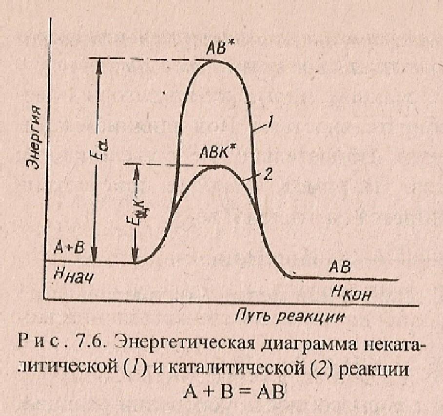 Энергетическая диаграмма реакции