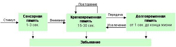 Модели памяти. Модель памяти Аткинсона Шиффрина. Структурная модель памяти р.Аткинсона. Структурная (блочная) модель организации памяти Аткинсона-Шифрина.. Аткинсон Шифрин модель памяти.