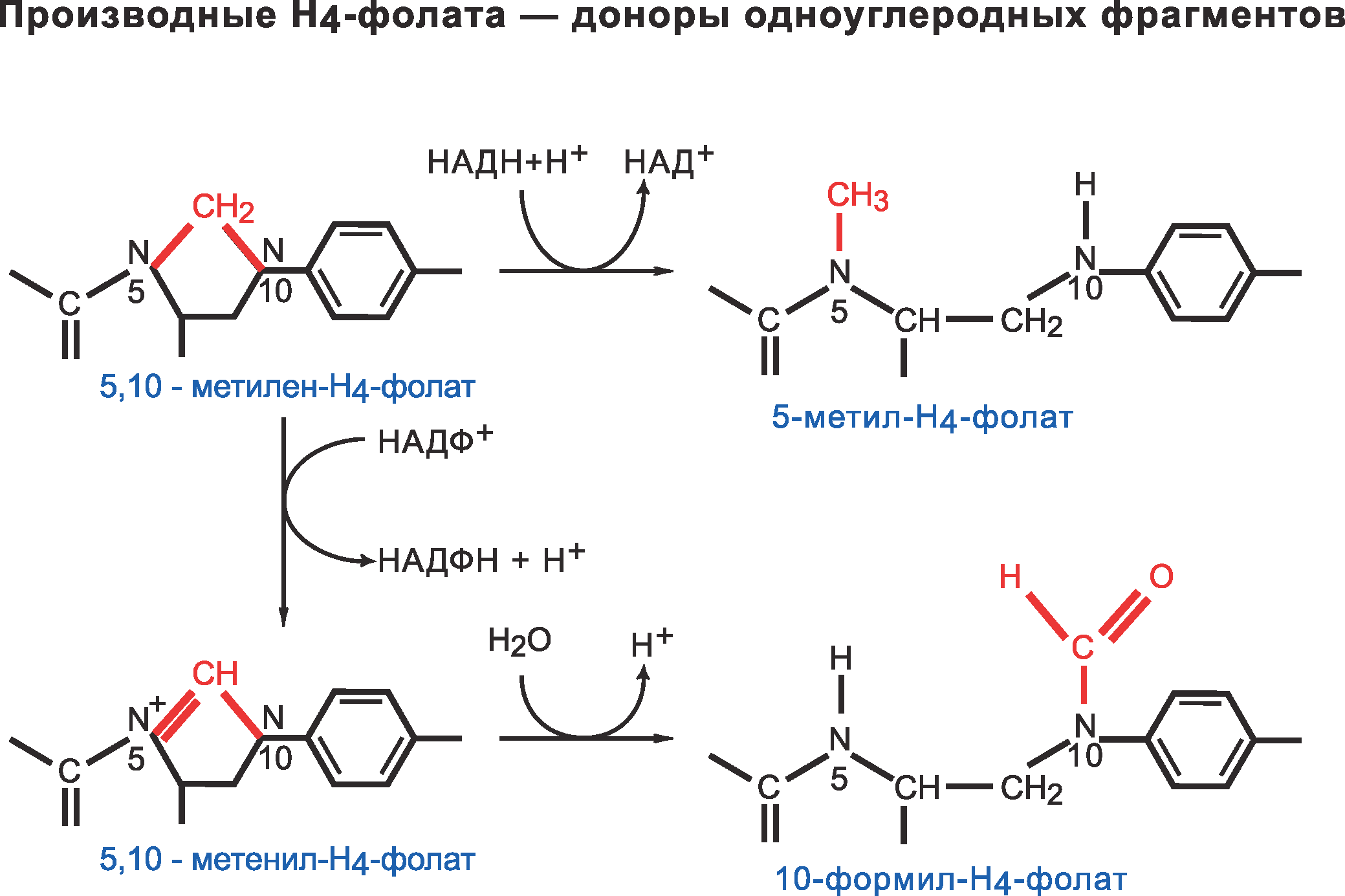 Синтез метилов