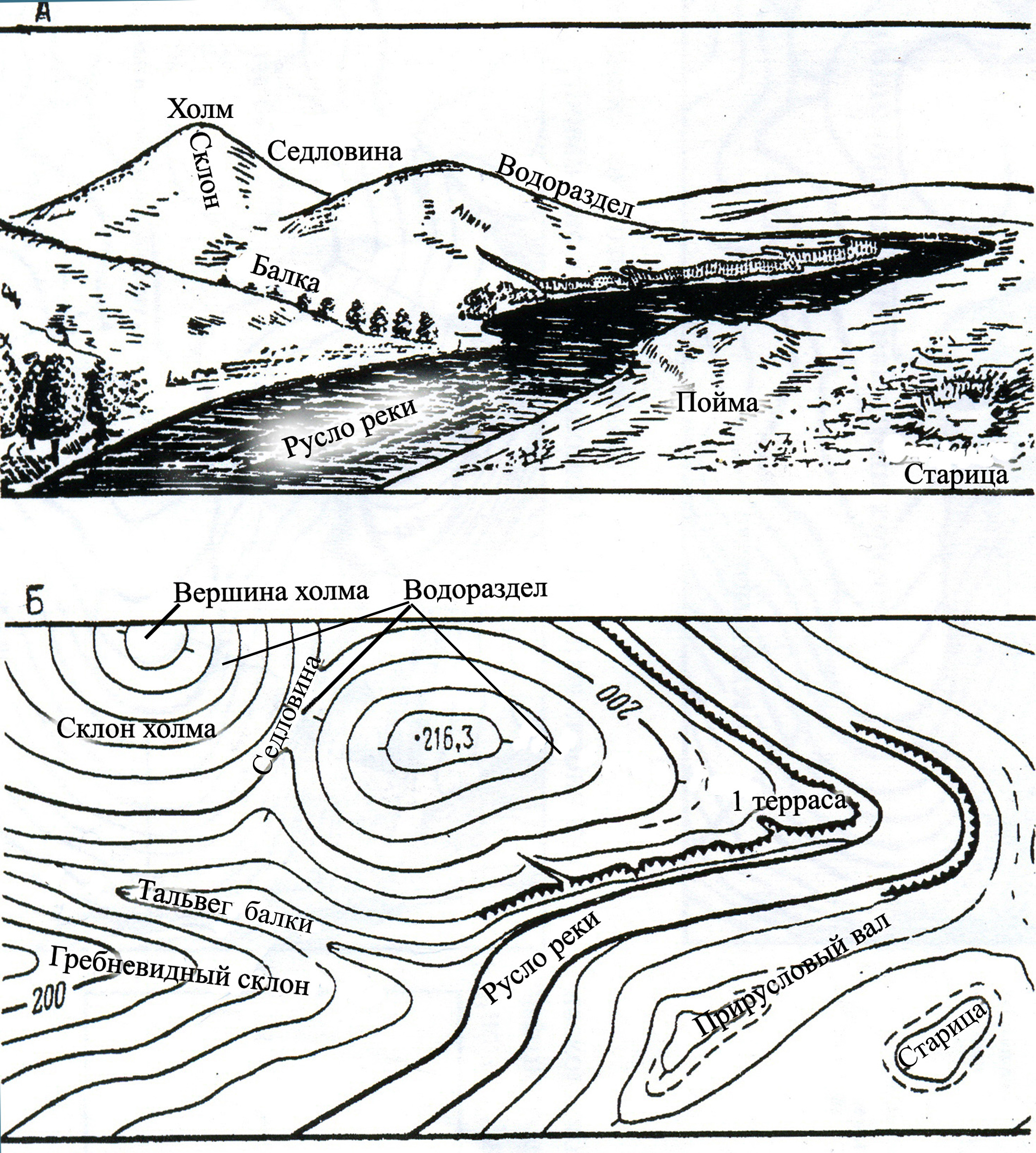 Основание холма. Хребет Лощина гора седловина. Овражно-балочный рельеф на топографических картах. Формы рельефа на топографической карте овраг. Моренные формы рельефа на топографической карте.