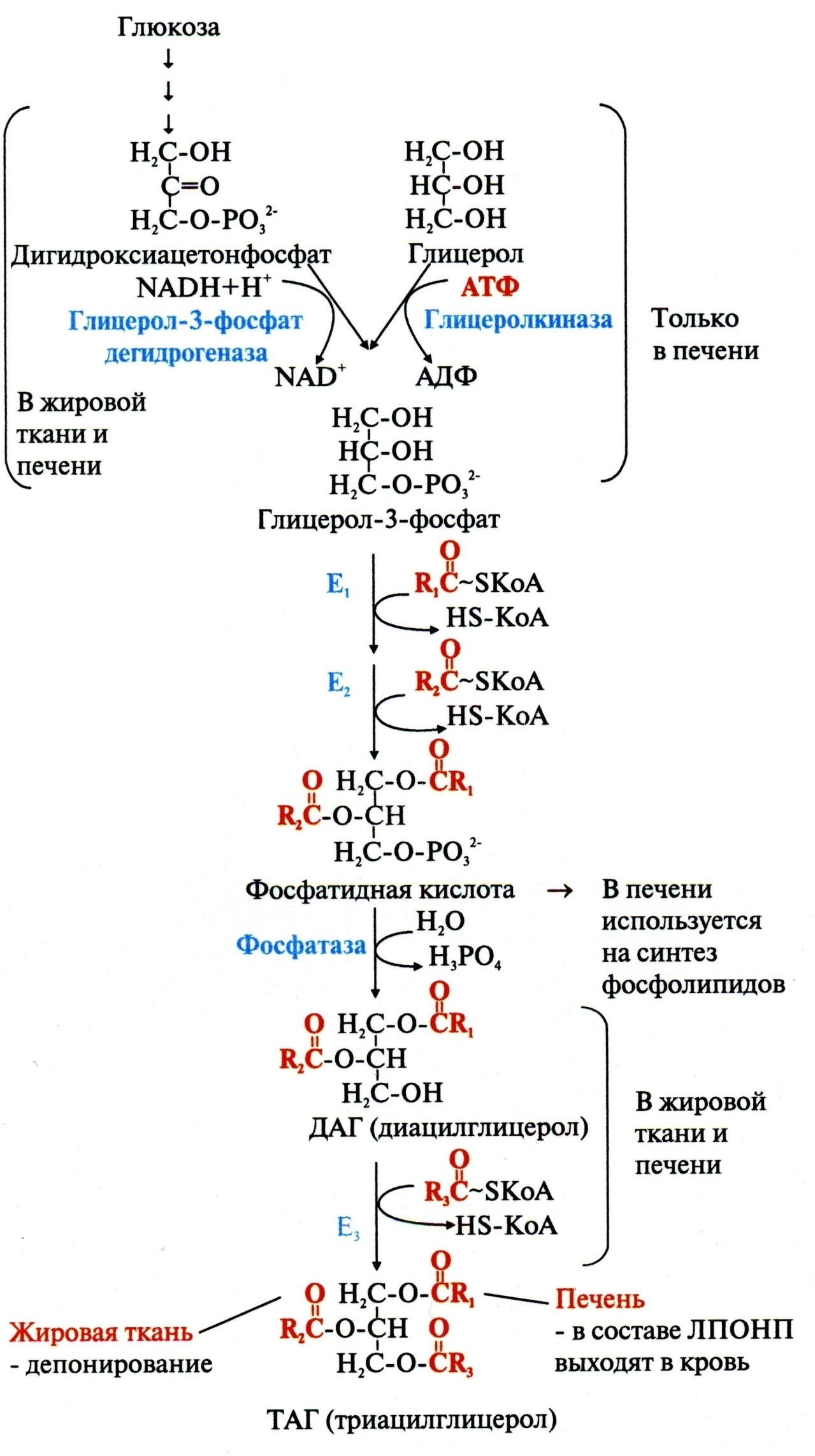 Синтез таг