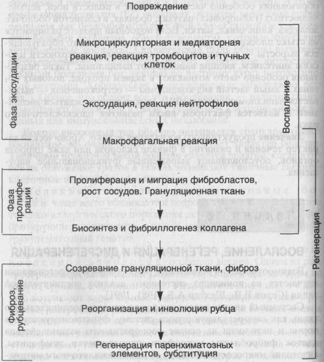 Воспаление с образованием полипов и остроконечных кондилом Воспаление с образованием полипов и остроконечных кондилом thumbnail