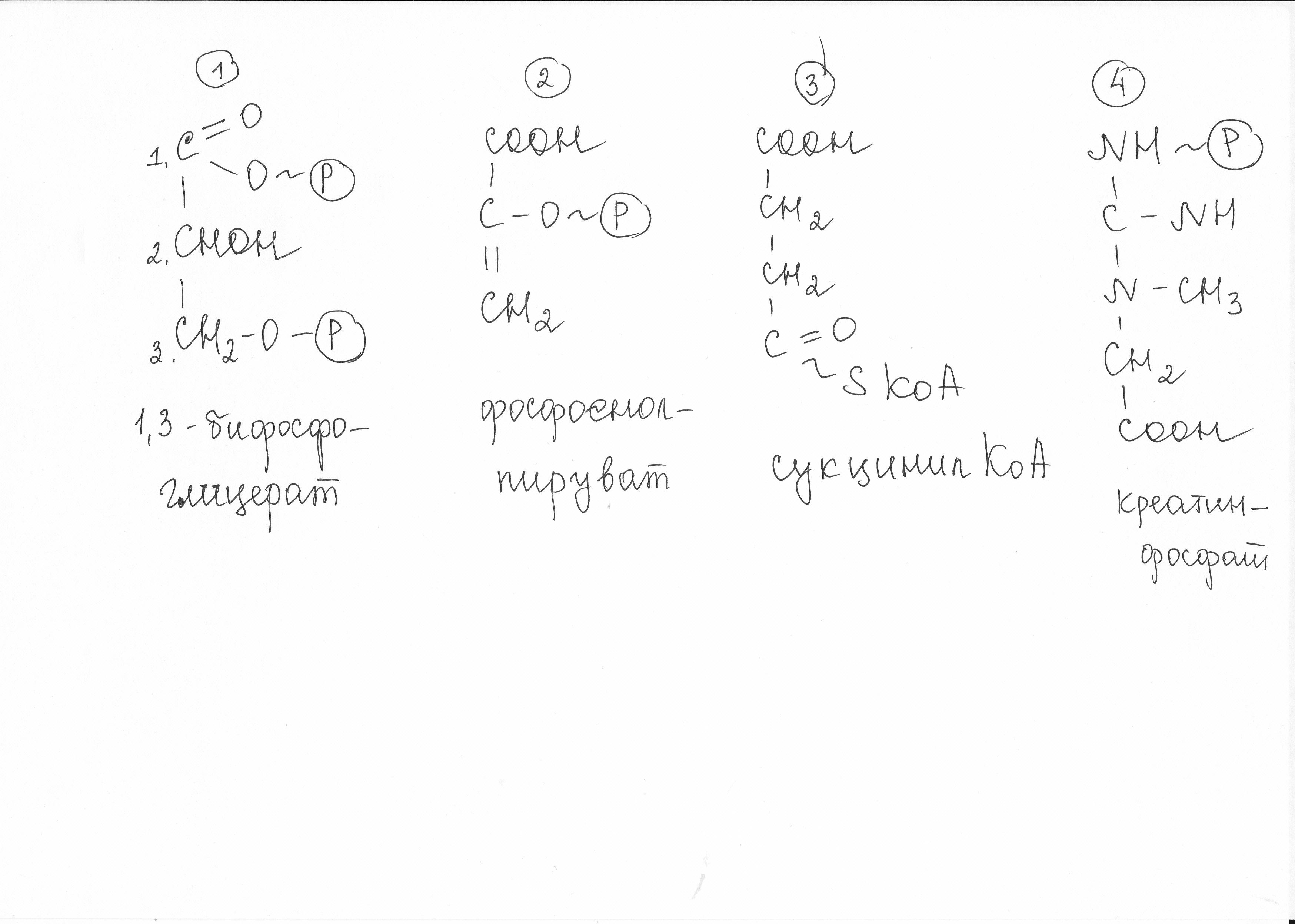 X hcl cl2 y. Сопряженные реакции. Эндергоническая реакция это биохимия примеры. Эндергонические EXO органичный органический реакции биохимию. X HCL ch4 y ch3no2.