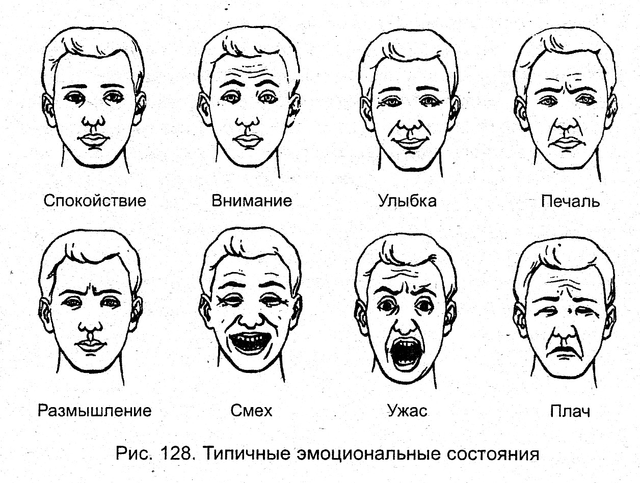 Учимся читать по губам. Физиогномика типы личности физиогномика характера. Схема мимики лица человека. Мимика человеческого лица схема. Эмоции человека физиогномика.