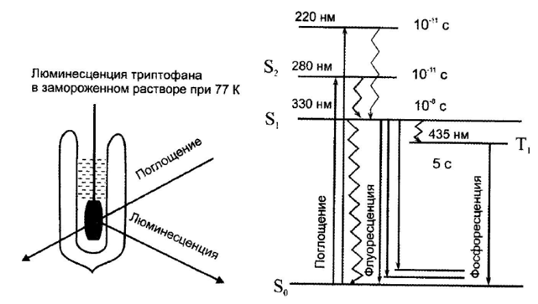 Схема яблонского люминесценция