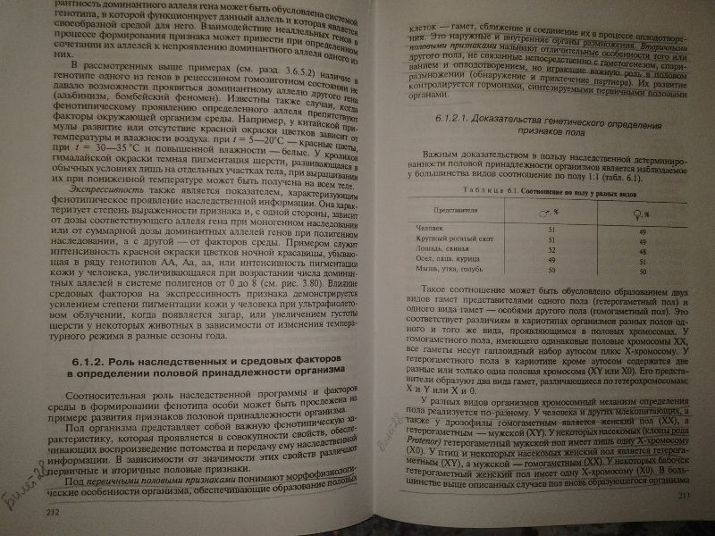 Билет 28.