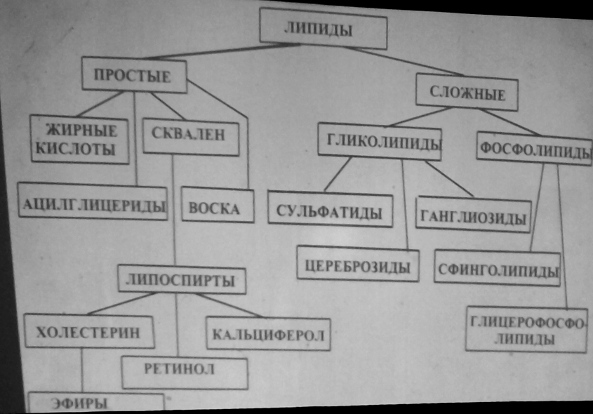 Плохие липиды. Классификация липидов. Транспорт липидов. Проанализируйте таблицу классификация липидов. Патология обмена липидов классификация.