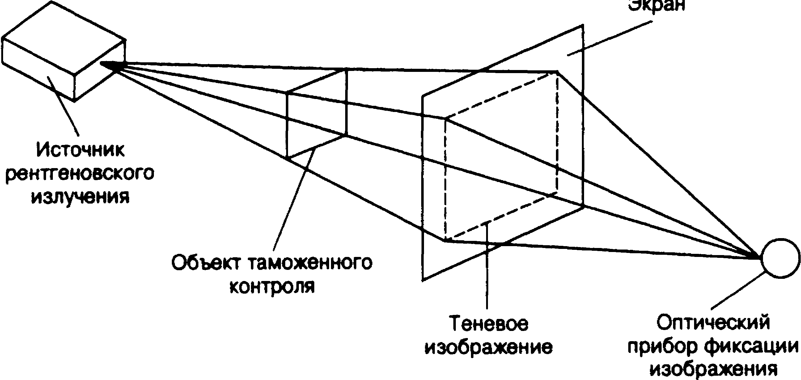 Обработка рентгеновского изображения