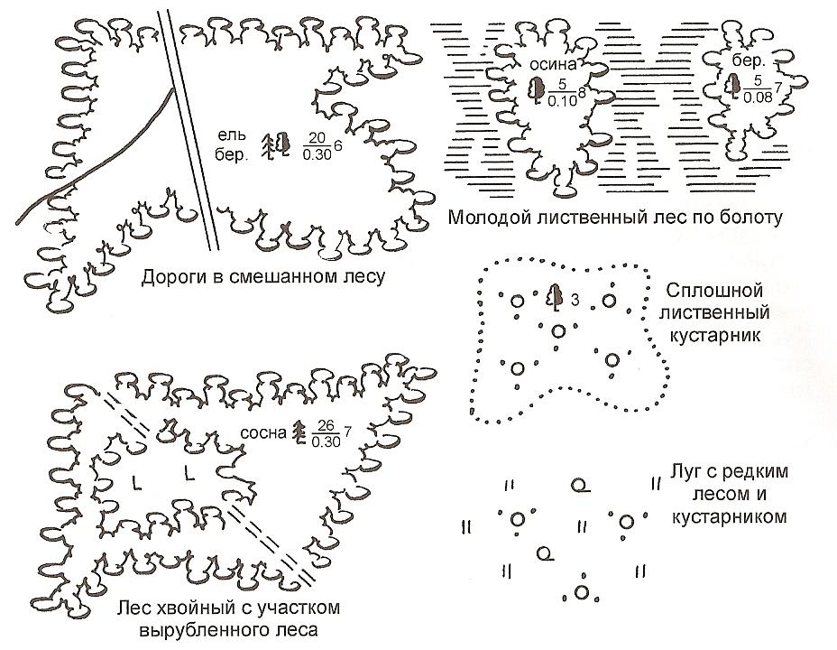 Обозначения леса на карт. Условный знак широколиственного леса. Условные обозначения Лиственный лес. Смешанный лес условный знак. Лиственный лес условный знак.