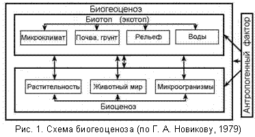 Прокомментируйте схему биогеоценоз биоценоз биотоп