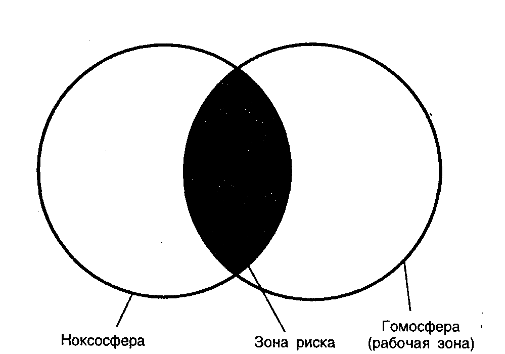 На рисунке представлено расположение гомосферы и ноксосферы характеризующее