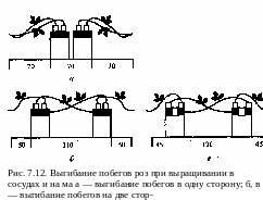 Группа 138