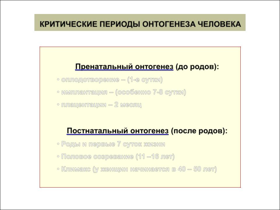 Пренатальный период