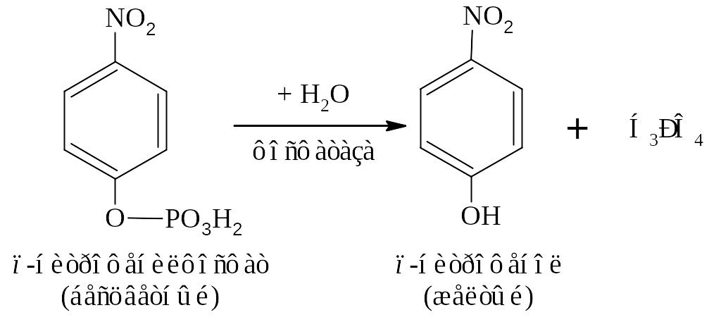 Фосфатаза реакции. Кислая фосфатаза катализируемая реакция. Кислая фосфатаза схема реакции. Щелочная фосфатаза катализирует реакцию. Реакция кислой фосфатазы.