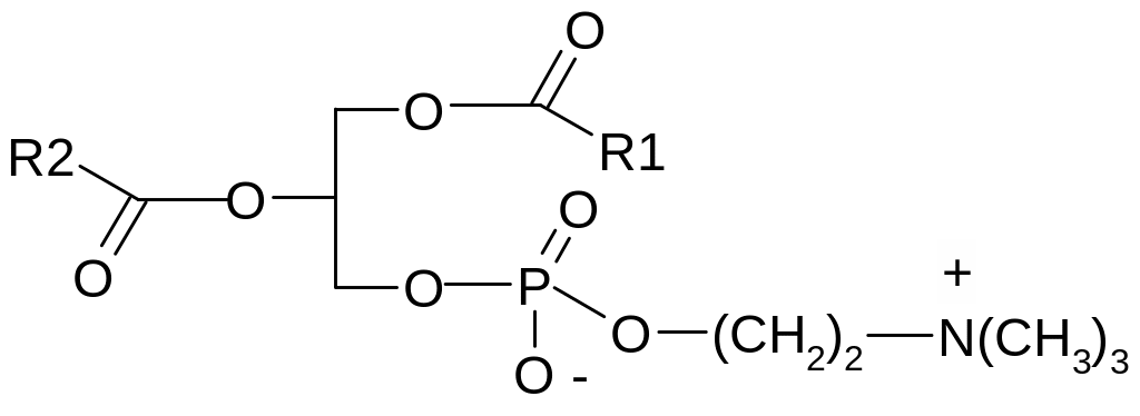 5.2. Количественное определение фосфатидилхолинов (лецитинов) по фосфору