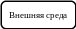 _s1135