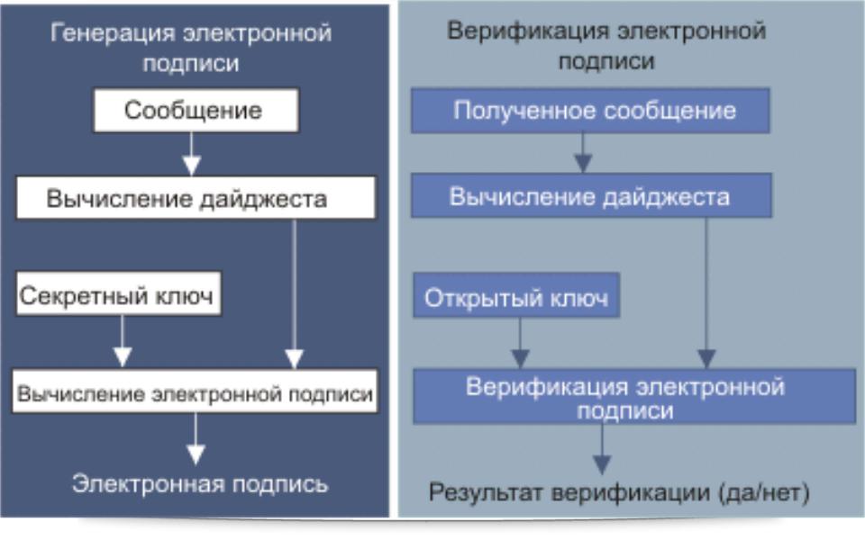 Генерация эп. Алгоритм использования электронной цифровой подписи. Схема проверки ЭЦП. Схему формирования-верификации ЭЦП. Электронная цифровая подпись схема.