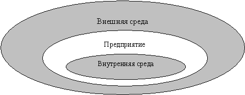 Бизнес план предприятия внешняя среда
