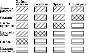 Анализ клиентов при разработке бизнес плана