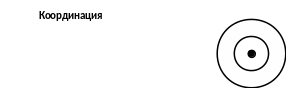 Группа 21