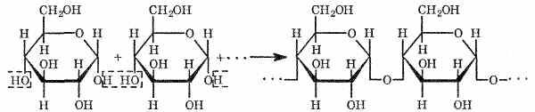 Реакция крахмала с йодом уравнение реакции. Взаимодействие крахмала с йодом реакция. Комплексное соединение амилозы и амилопектина с йодом. Формула взаимодействия крахмала с йодом. Крахмал с йодом реакция структурная формула.