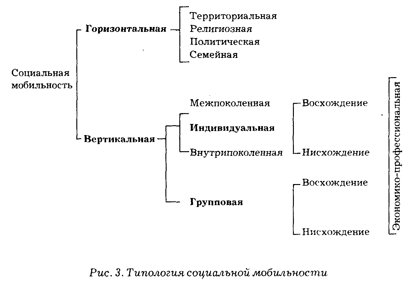 Примеры групповой мобильности в обществе