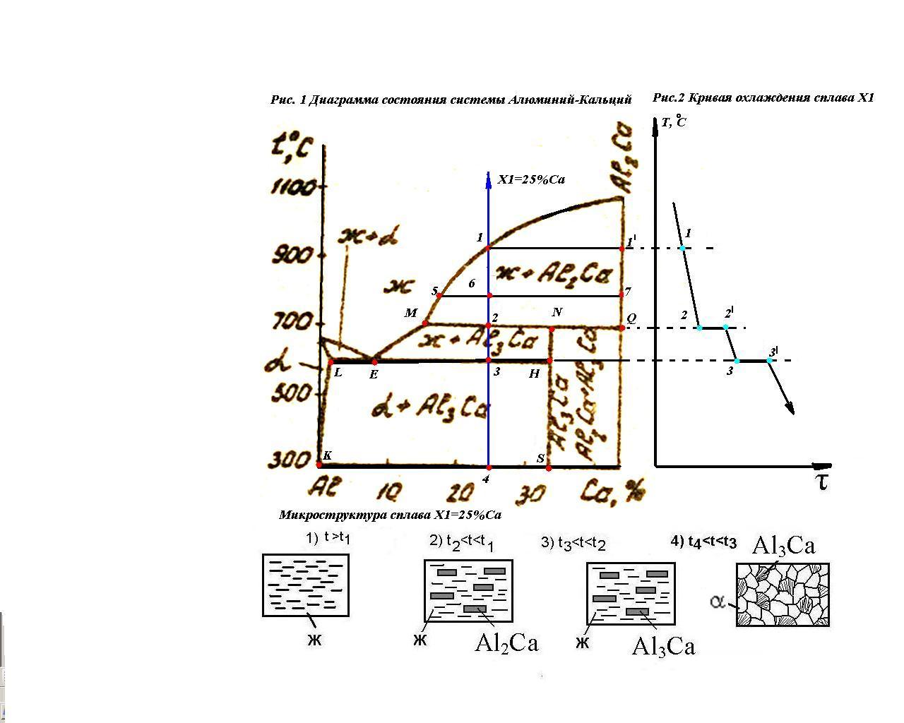 Кривая охлаждения сплава диаграммы состояния. Диаграмма состояния алюминий кальций. Диаграмма кальций алюминий. Диаграмма состояния двойных сплавов с Кривой охлаждения. Диаграмма с неустойчивым химическим соединением.