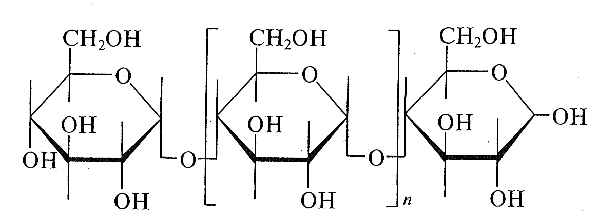 Полный гидролиз полисахаридов. Мальтоза строение. Гидролиз олиго и полисахаридов. Схему фосфоролиза мальтозы. Гидролиз мальтозы.
