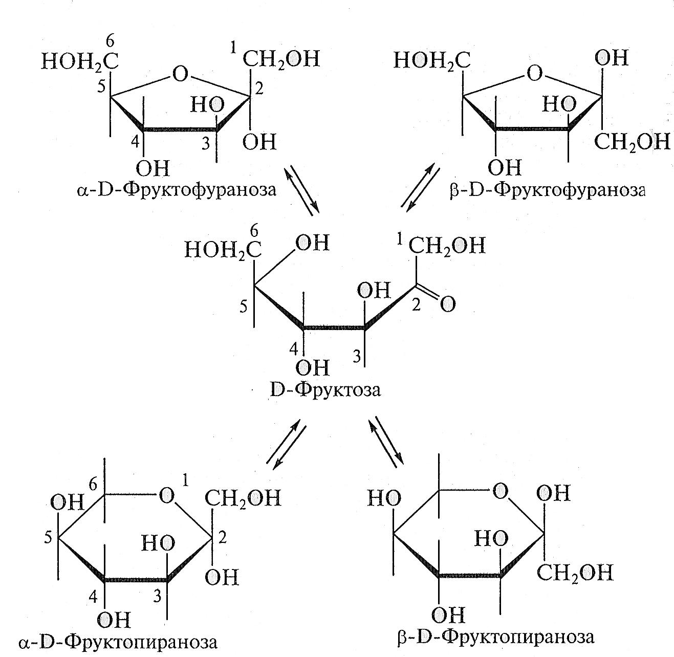 Фруктоза взаимодействует с. Глюкоза цикло цепная таутомерия. Цикло оксо таутомерные превращения Глюкозы. Цикло цепная таутомерия д фруктозы. Цикло-оксо-таутомерия фруктозы.