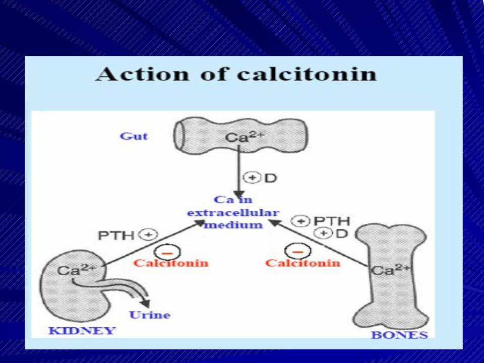 Кальцитонин 2 что значит. Схема синтеза кальцитонина. Схема действия кальцитонина. Механизм действия кальцитонина. Реакции синтеза кальцитонина.