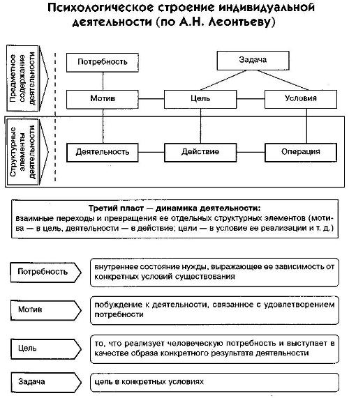 Установите соответствие примеры элементы структуры деятельности
