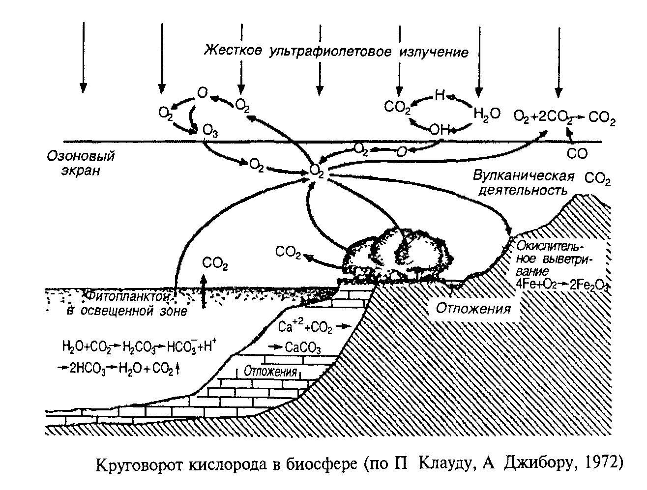 Круговорот кислорода процессы. Круговорот кислорода (по е. а. Криксунову и др., 1995). Схема круговорота кислорода в биосфере схема. Круговорот кислорода в биосфере схема. Биогеохимический цикл кислорода схема.