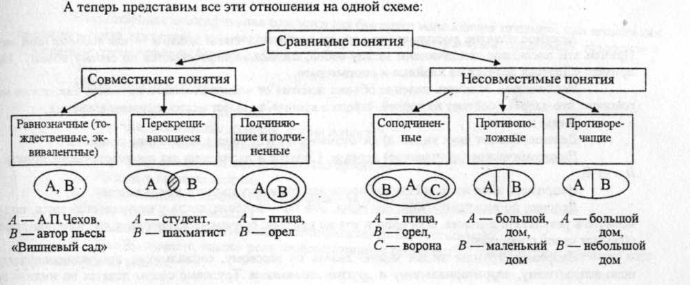 Какие три из перечисленных ниже понятий связаны. Примеры понятий в логике. Тип соотношения понятий. Виды понятий. Связь понятий логика.