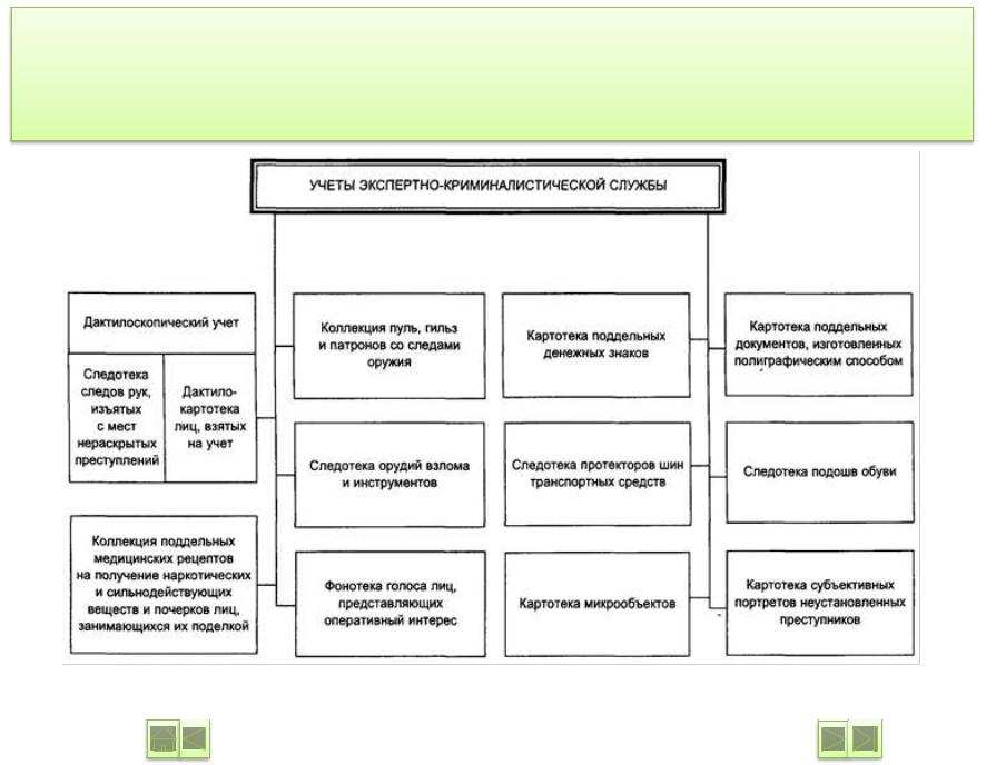 Какие криминалистические учеты