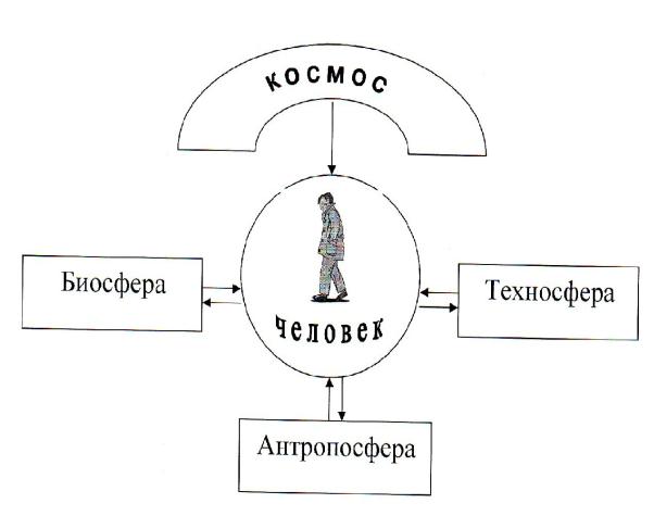 Рисунок человек часть биосферы. Понятие биосферы и техносферы. Понятия Биосфера и Техносфера. Антропосфера и Техносфера. Рисунки техносферы.
