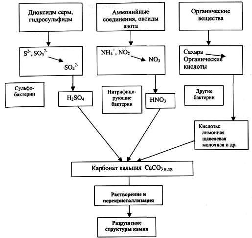 Кальций в биосфере. Биогеохимический цикл кальция. Круговорот кальция схема. Круговорот кальция в природе схема. Биогеохимический цикл кальция схема.