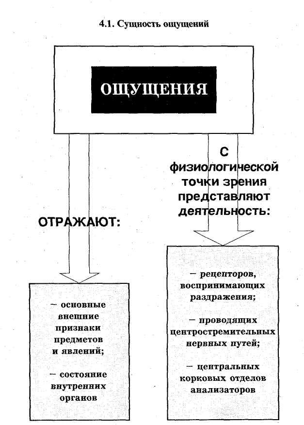 Общие свойства ощущений схема